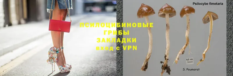 Псилоцибиновые грибы MAGIC MUSHROOMS  omg ссылки  Серафимович 